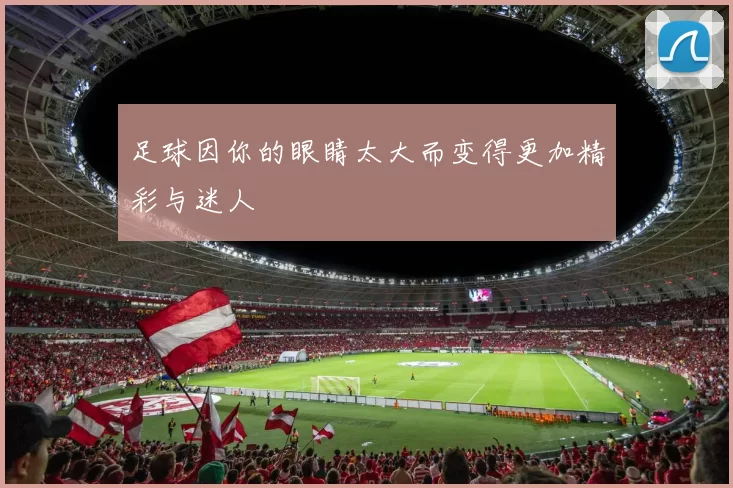 足球因你的眼睛太大而变得更加精彩与迷人