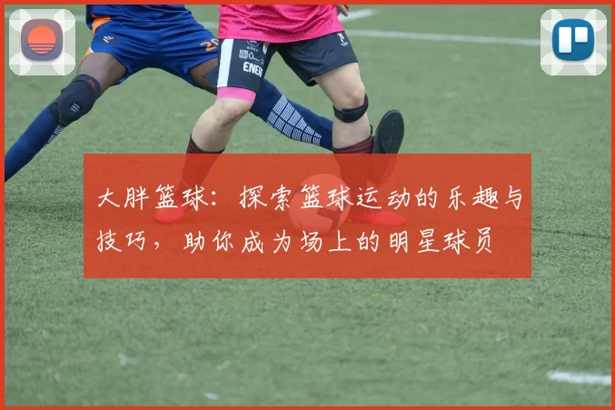 大胖篮球：探索篮球运动的乐趣与技巧，助你成为场上的明星球员