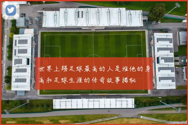 世界上踢足球最高的人是谁他的身高和足球生涯的传奇故事揭秘